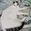 Jerry