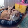 Uxia y ariel
