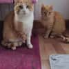 Uxia y ariel