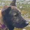 Torga