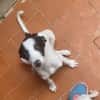 Jany