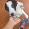 Jany