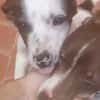 Jely