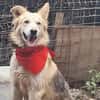 Ronja suche Menschen mit Herz