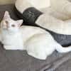 Ally sucht ihre Kuschelmenschen