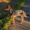 BUDDIE * Traumbursche für Erwachsene