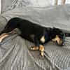 💕Berta💕sucht ihre Menschen 💕🐾