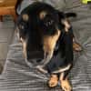 💕Berta💕sucht ihre Menschen 💕🐾