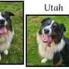 UTAH