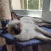 Mirta sucht Dich