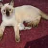 Mirta sucht Dich