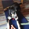 Matilda sucht ein liebevolles Zuhause
