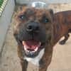 TAYSON QCN