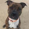 TAYSON QCN