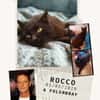 Rocco