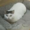 Trudy