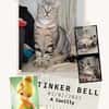 Tinker bell