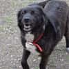 Roxy sucht ihre Familie