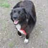 Roxy sucht ihre Familie