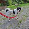 Lieber Sealy♥ sucht sein Heim