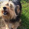 Missy sucht Faamilienanhang