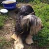 Missy sucht Faamilienanhang