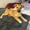 Aron sucht ein Zuhause
