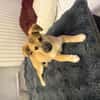 Aron sucht ein Zuhause