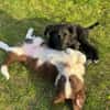 Einfach nur Zucker