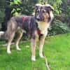 Bernie sucht ein Zuhause