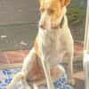 Teddy3 sucht ein Zuhause