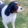 Lenny in 47877 Willich
