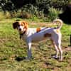 💕Cleo💕sucht ihre Menschen🐾💕🐾