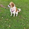 Vicky sucht ein neues Zuhause