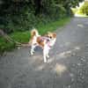 Vicky sucht ein neues Zuhause