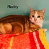 Rocky