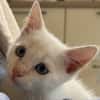CASPER