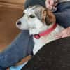 Sandy - hübsche Omi sucht Zuhause