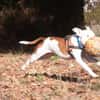 MOLLY (réservée)