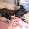 LUNITA (Rescate)