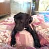 LUNITA (Rescate)