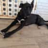 LUNITA (Rescate)