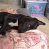 LUNITA (Rescate)