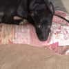 LUNITA (Rescate)