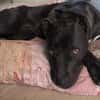 LUNITA (Rescate)