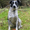 Nella