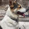 BALU', cerca casa