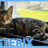 ASTERIX