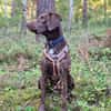 Pippa - aufmerksame Sportskanone