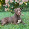 Ronja - ist ausgeglichen